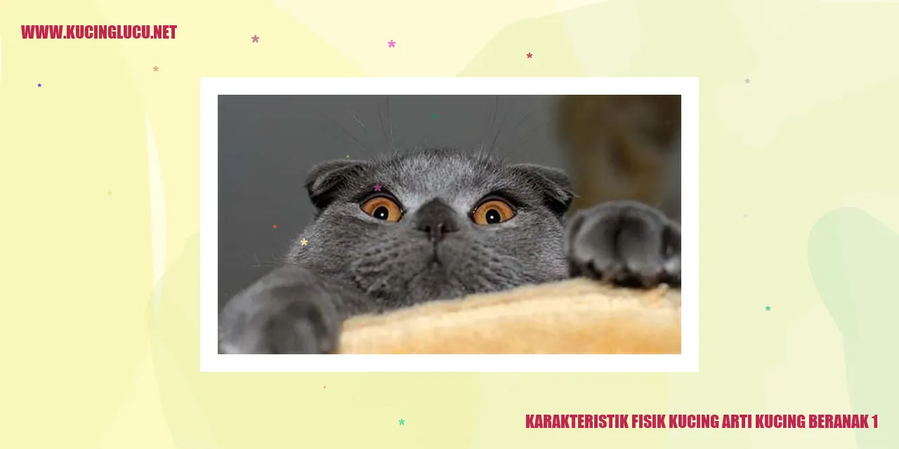Karakteristik Fisik Kucing