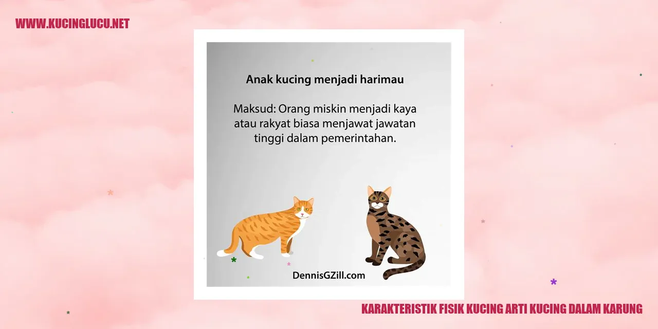 Karakteristik Fisik Kucing