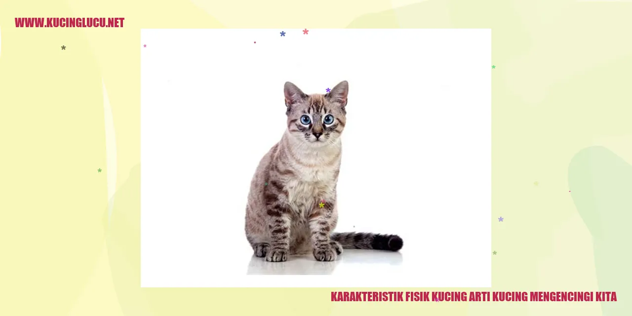 Karakteristik Fisik Kucing