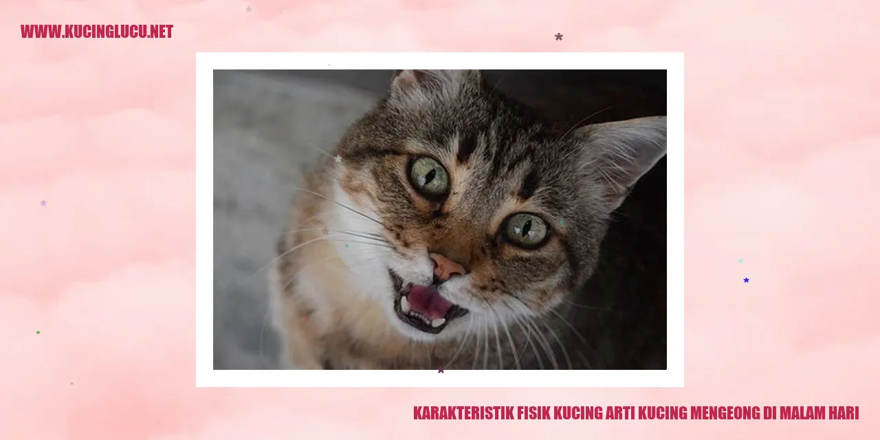 Ilustrasi Kucing
