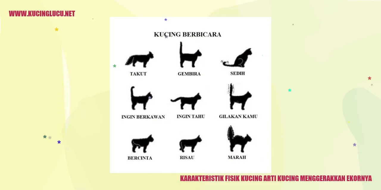 Karakteristik Fisik Kucing