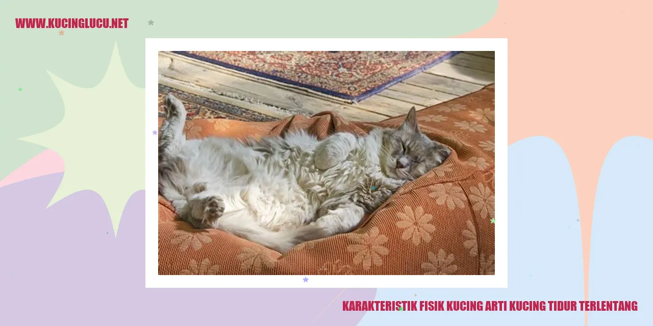 Karakteristik Fisik Kucing