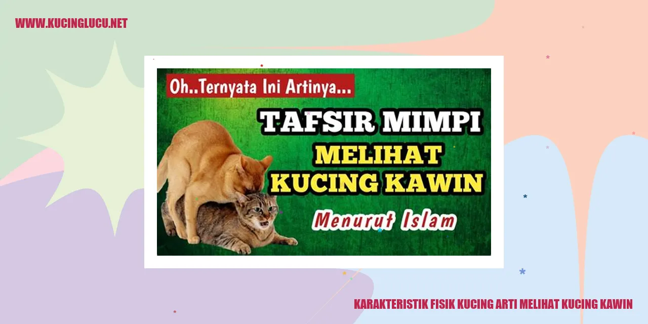 Karakteristik Fisik Kucing arti melihat kucing kawin