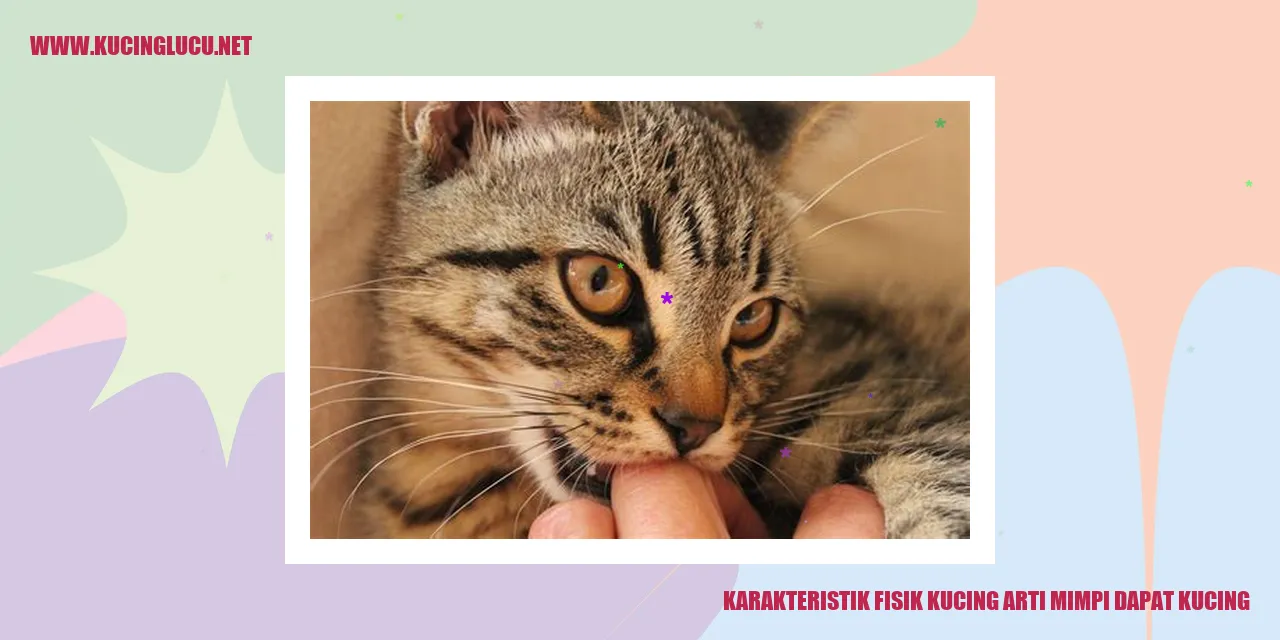 Keunikan Fisik Sang Kucing