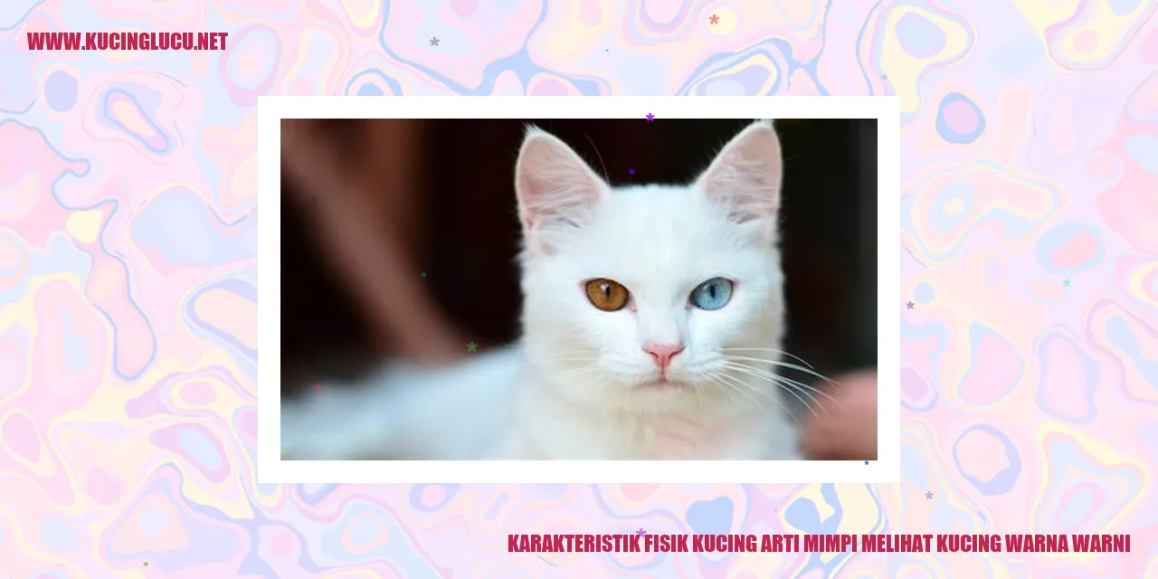 Kucing dengan Warna Bulu yang Beragam