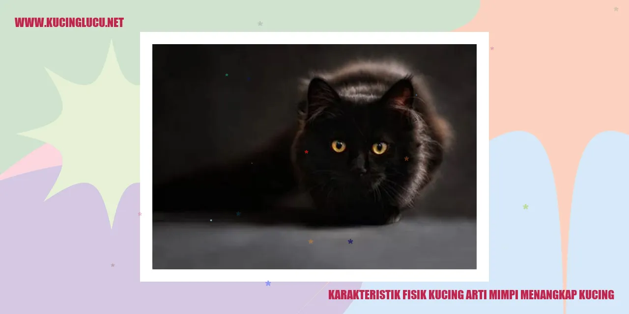 Ilustrasi Kucing