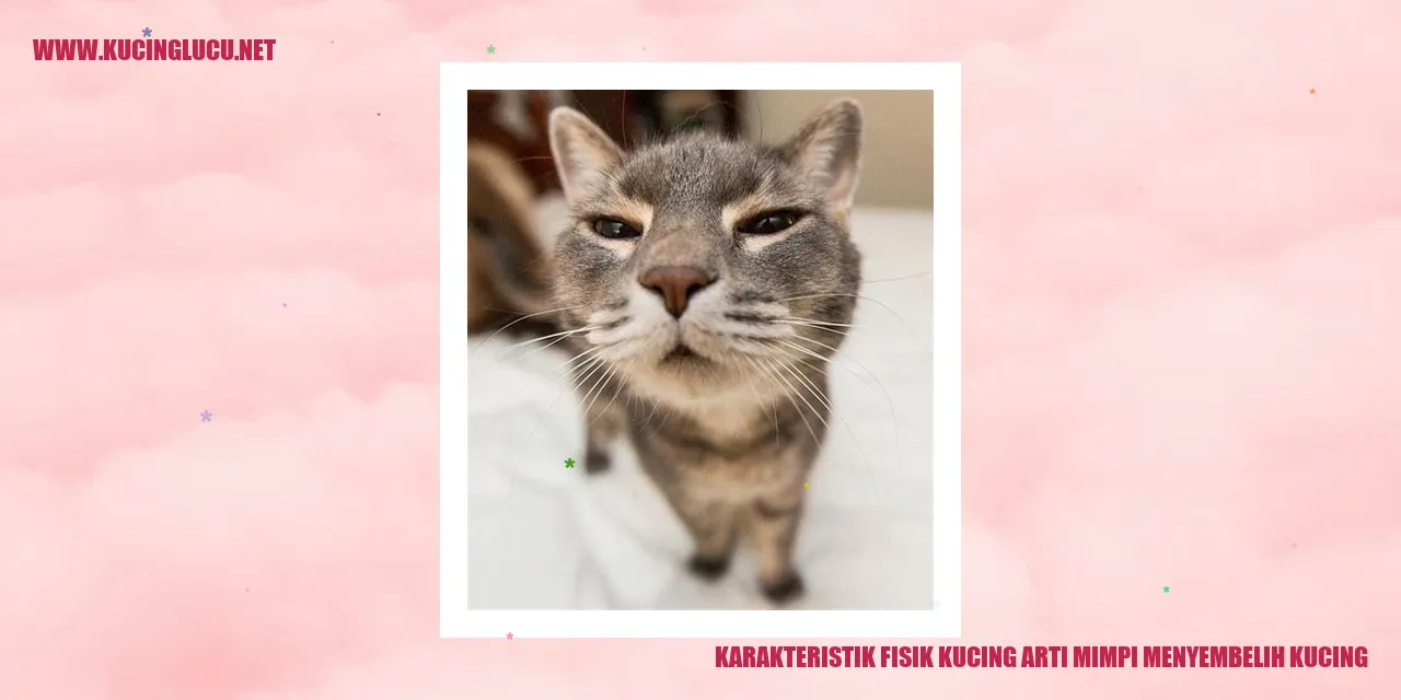 Karakteristik Fisik Kucing