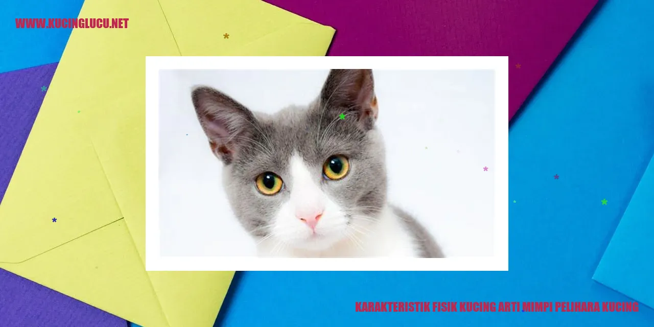 gambar kucing