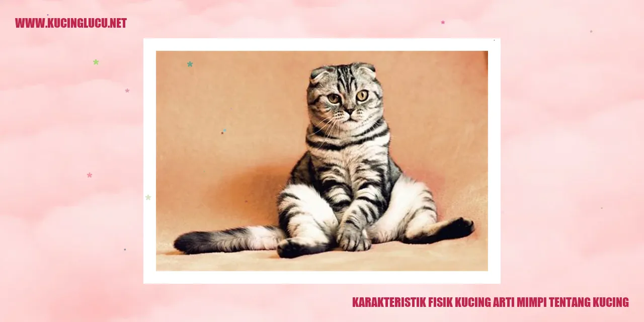 Karakteristik Fisik Kucing
