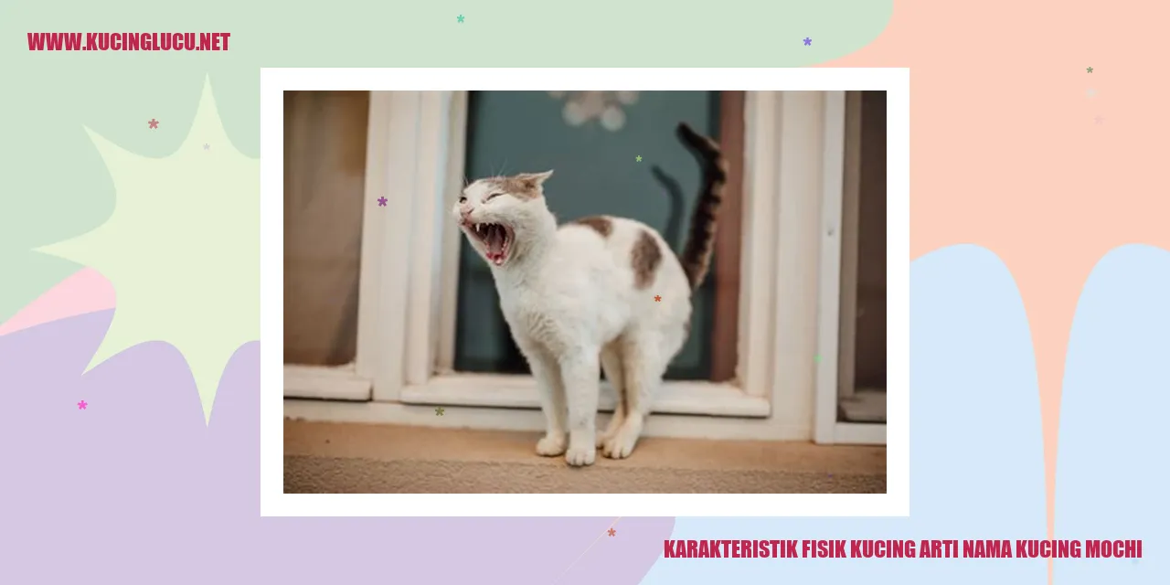 Karakteristik Fisik Kucing