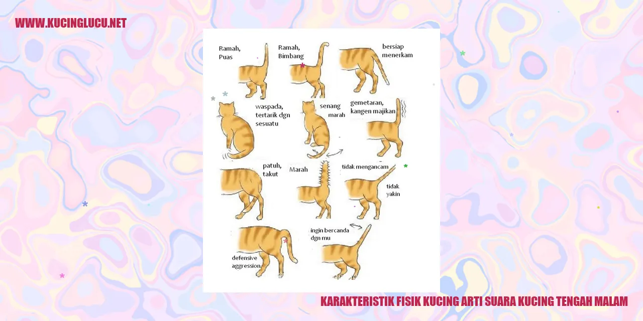 Karakteristik Fisik Kucing yang Menarik
