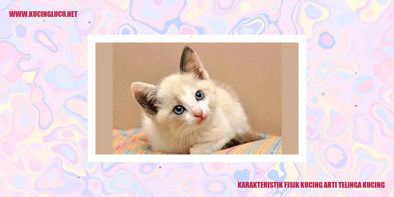 Karakteristik Fisik Kucing: Pentingnya Telinga Kucing