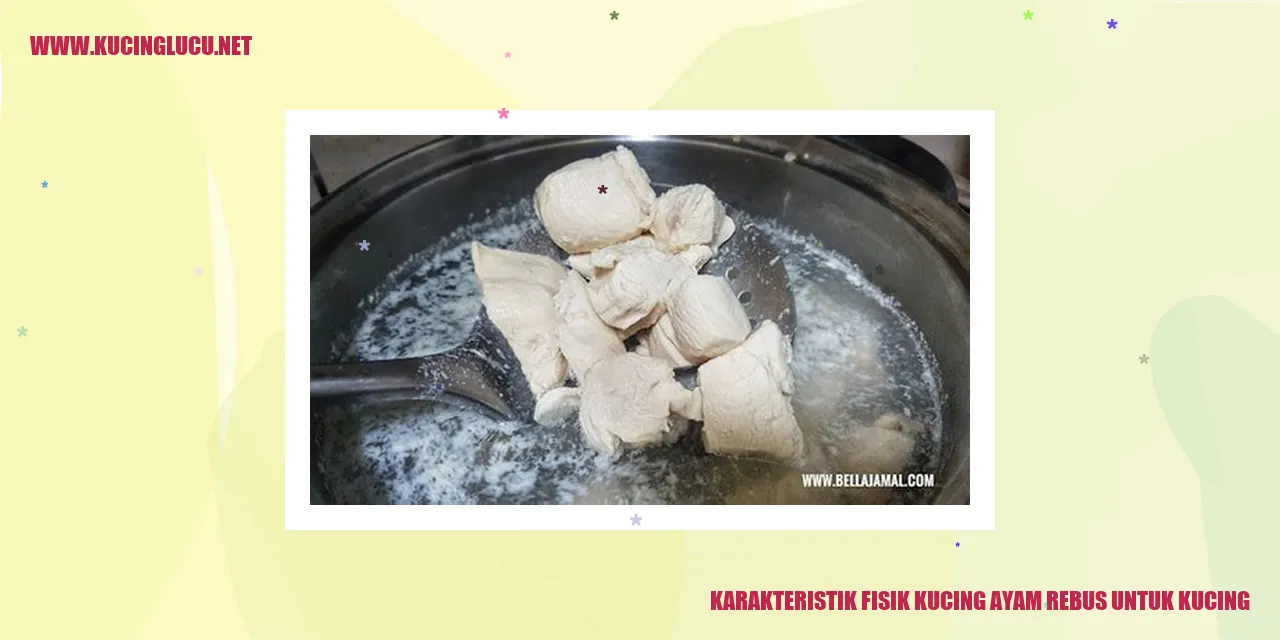 Karakteristik Fisik Kucing Ayam Rebus