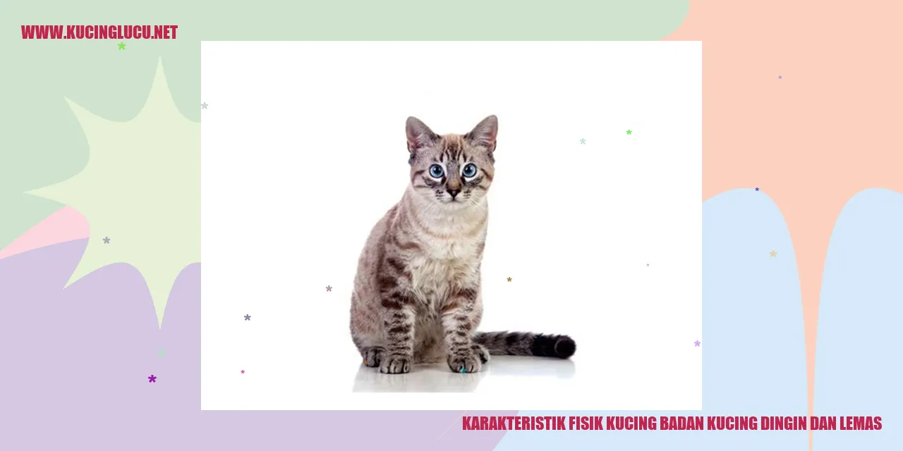 Karakteristik Fisik Kucing