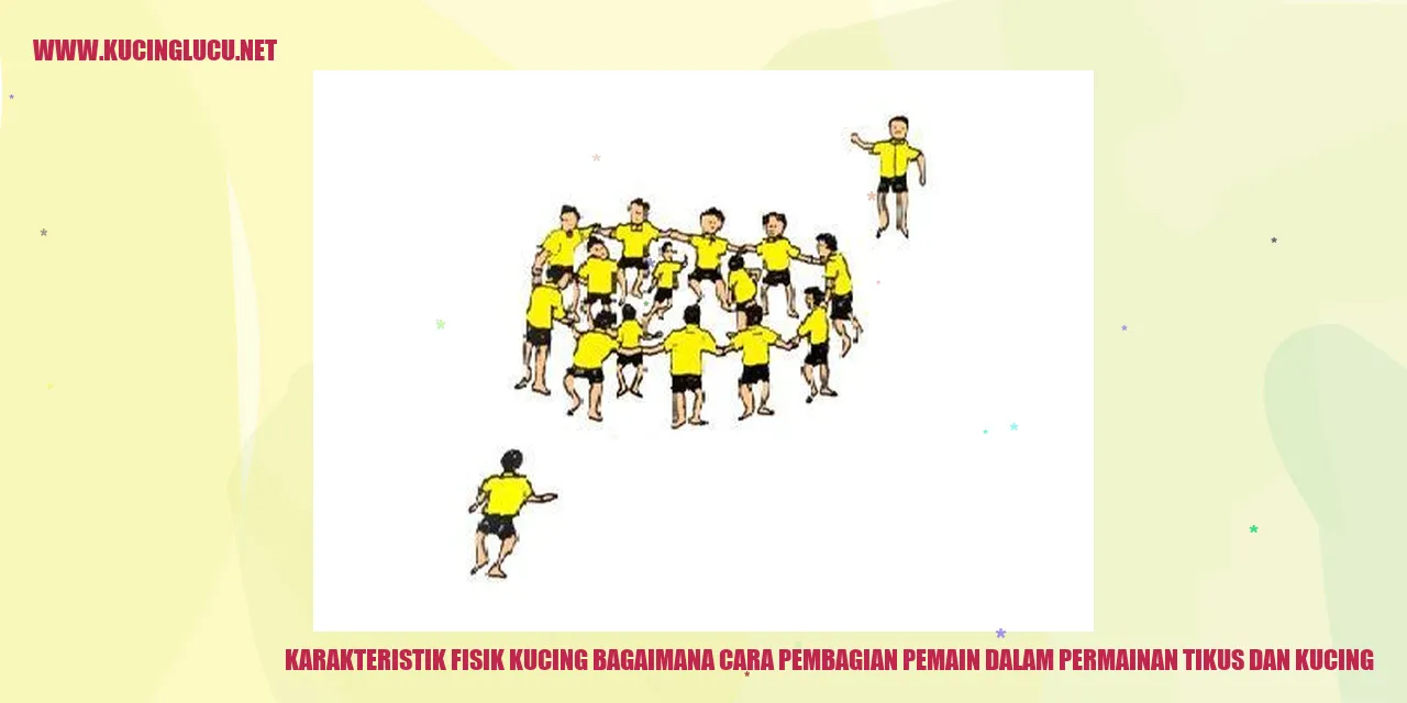 Karakteristik Fisik Kucing