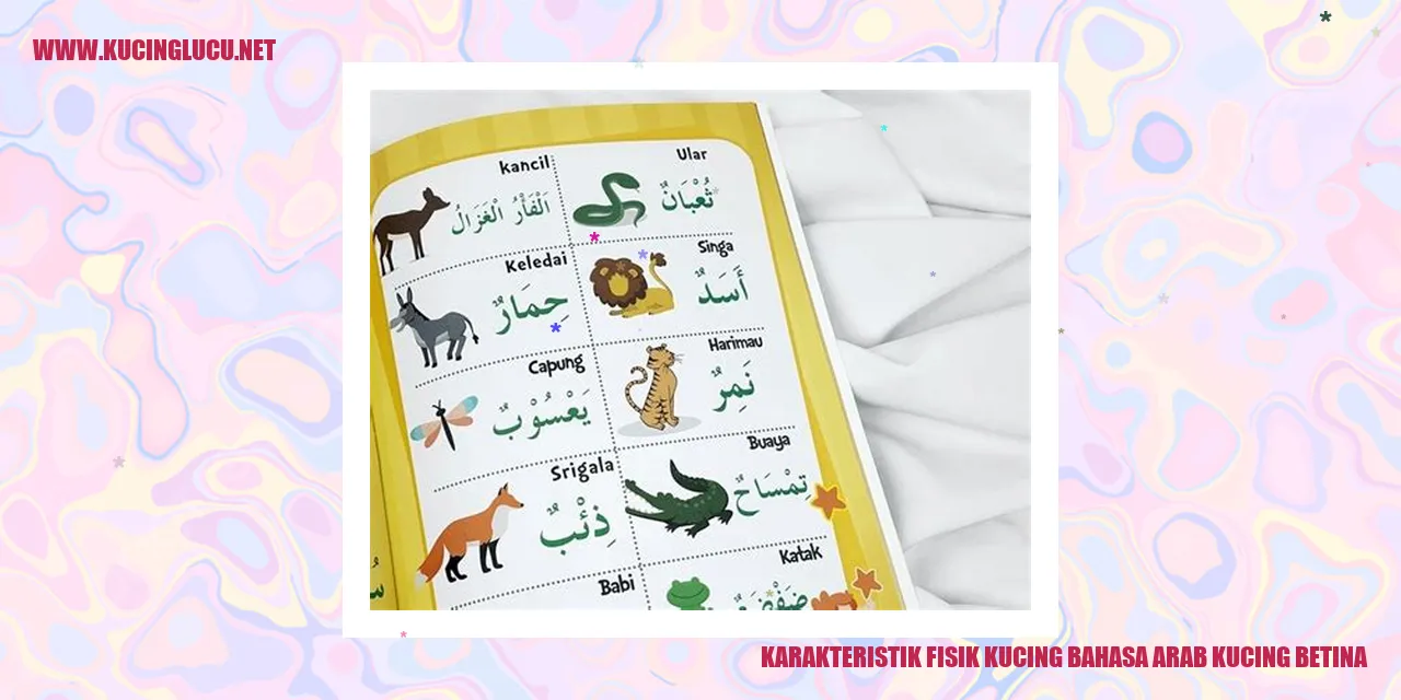 Karakteristik Fisik Kucing Betina