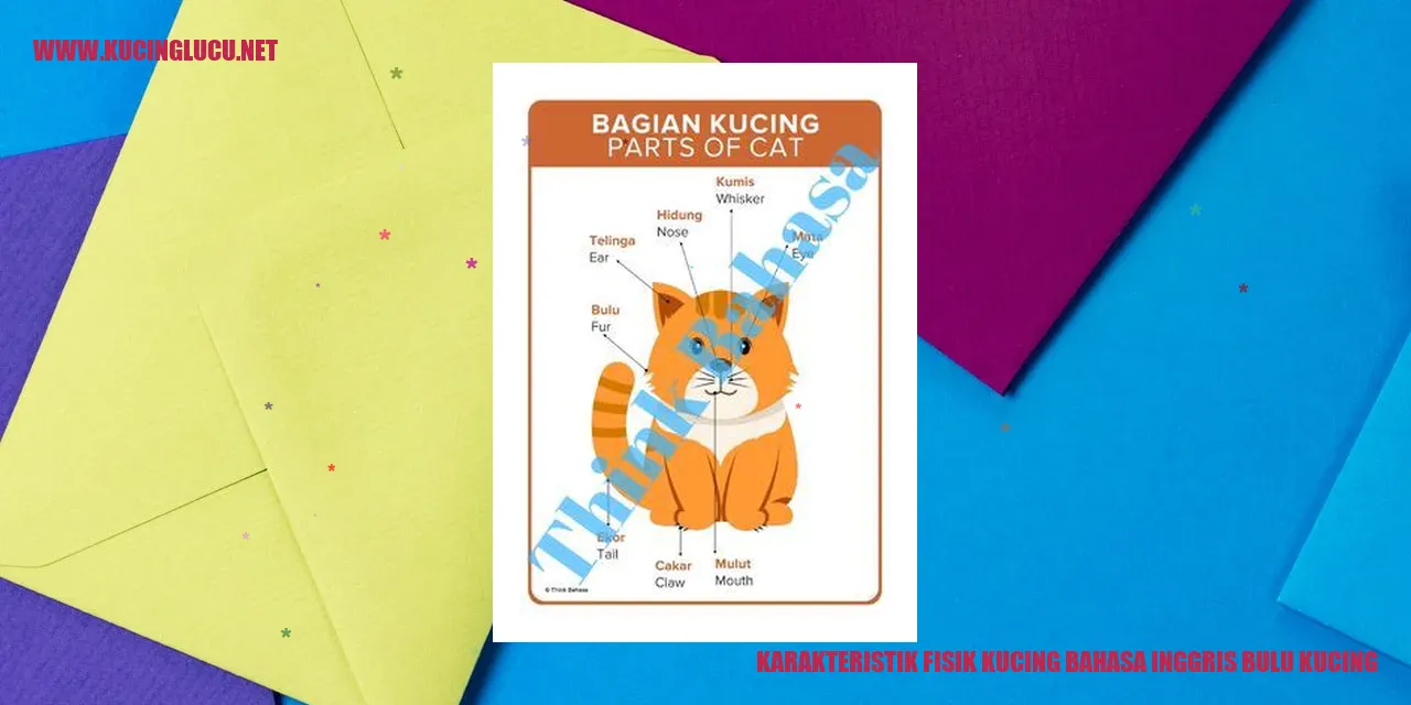 Bulu Kucing