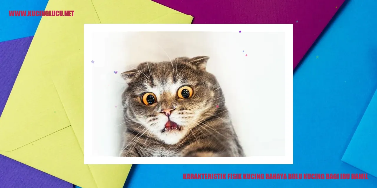 Kucing dan Bulu