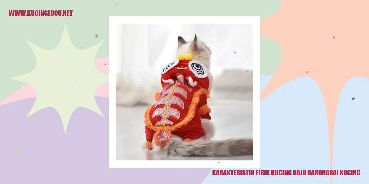 Karakteristik Fisik Kucing Baju Barongsai Kucing