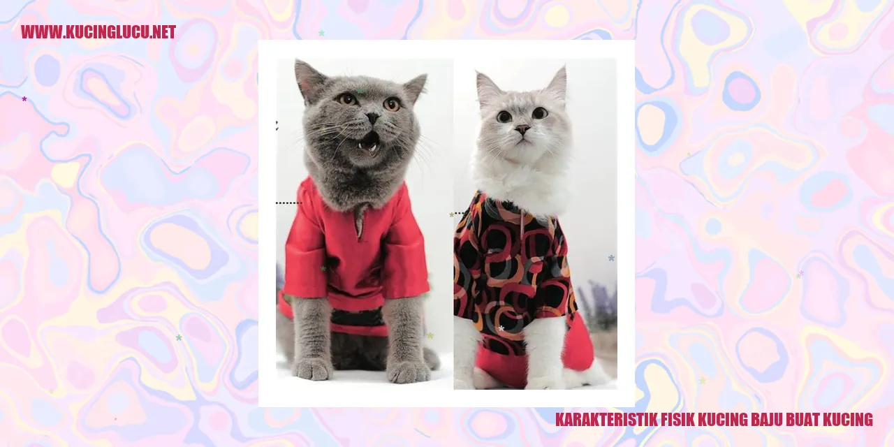 Karakteristik Fisik Kucing baju buat kucing