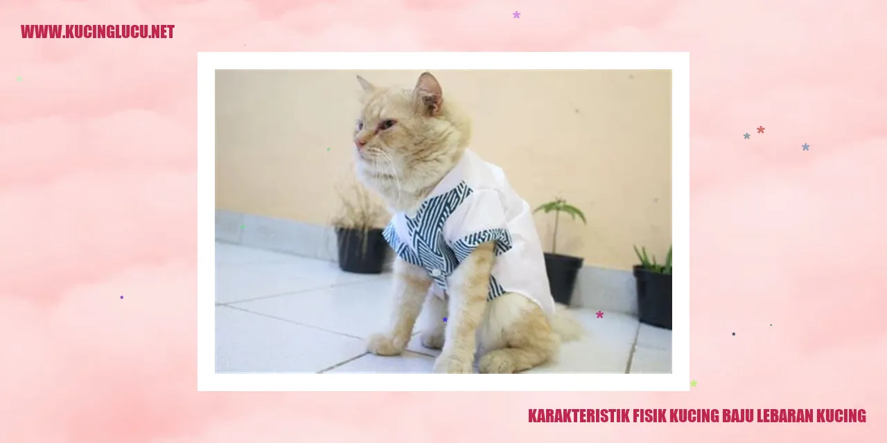 Karakteristik Fisik Kucing Berbaju Lebaran