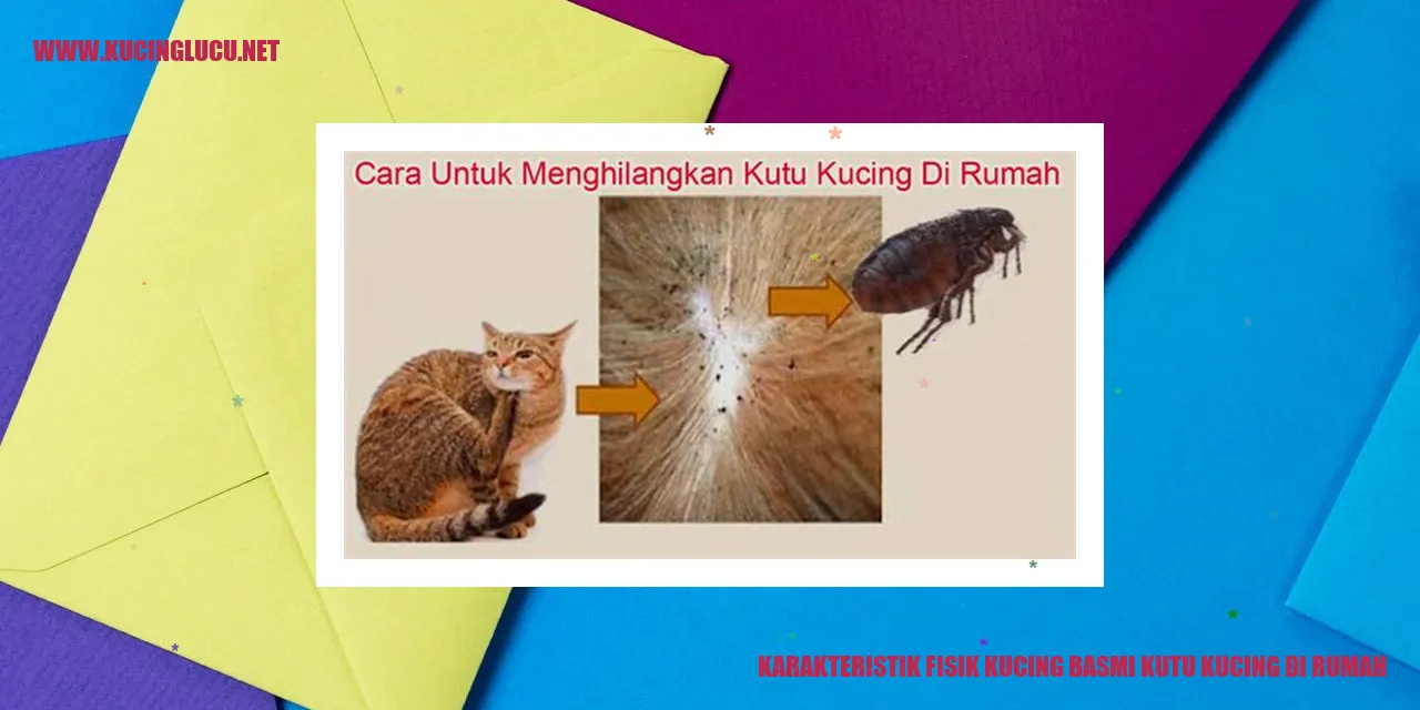 gambar kucing basmi kutu