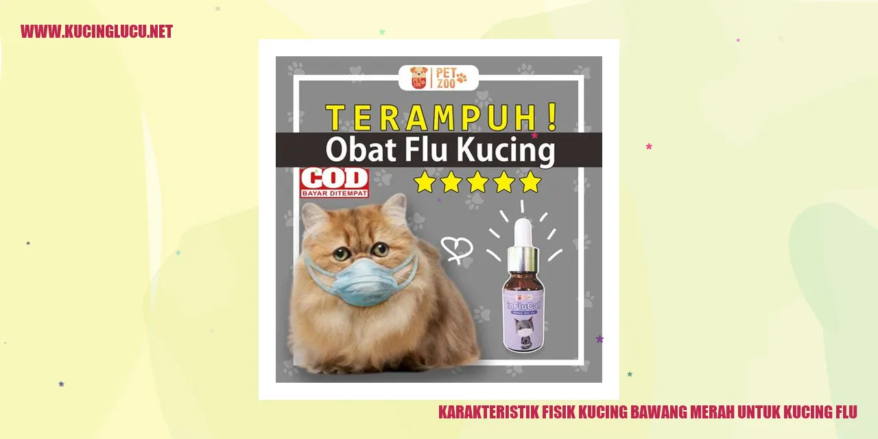 Kucing bawang merah dalam menghadapi flu