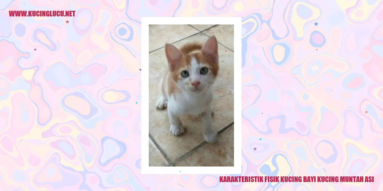 Kucing Bayi yang Mengalami Muntah ASI