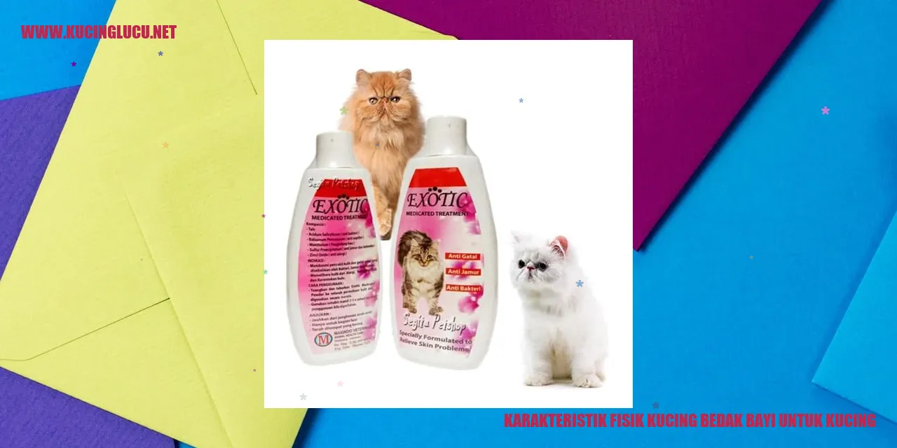 Karakteristik Fisik Kucing bedak bayi untuk kucing