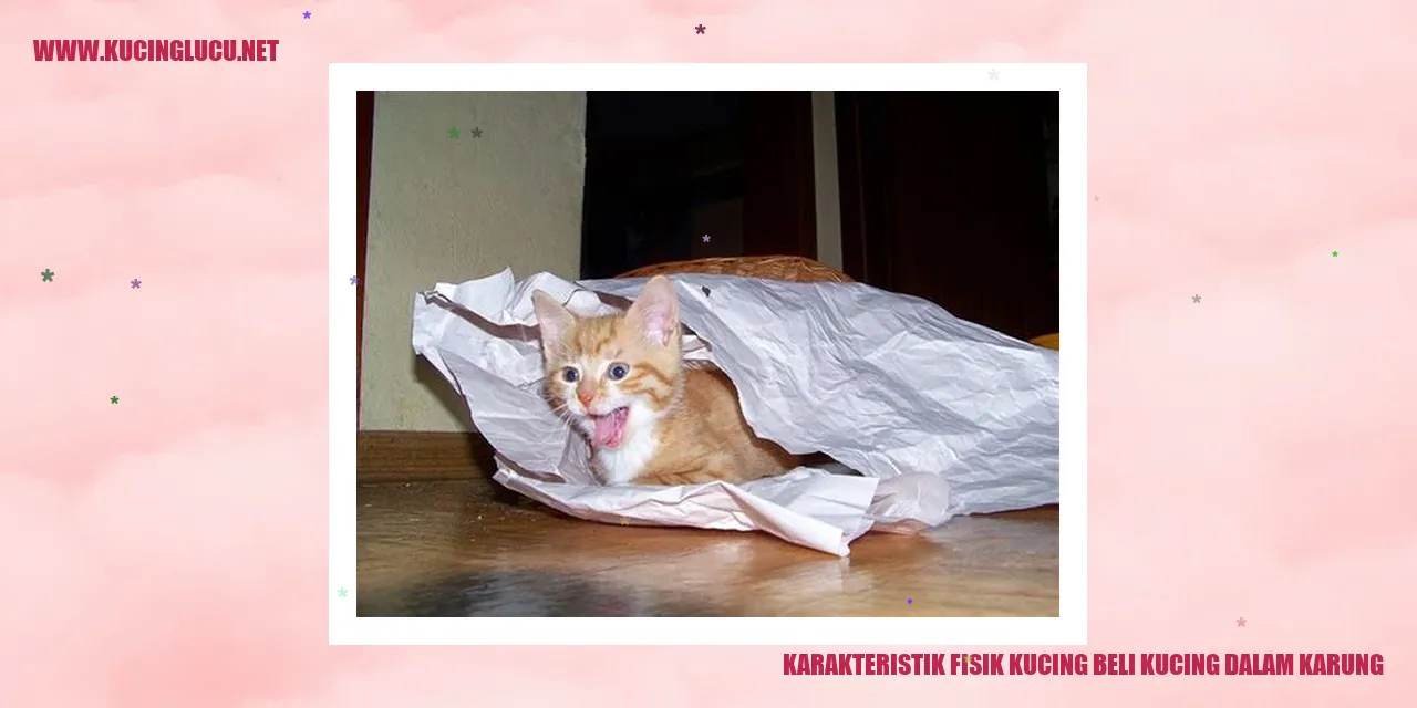 Kucing dalam Karung