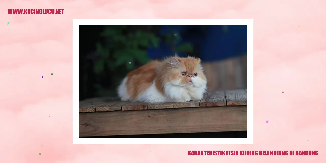 Karakteristik Fisik Kucing