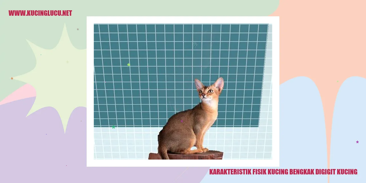 Karakteristik Fisik Kucing Setelah Digigit oleh Kucing Lain