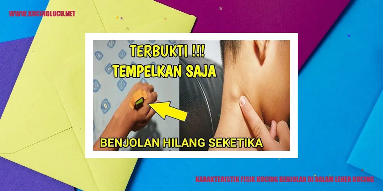 Karakteristik Fisik Kucing Benjolan di dalam Leher Kucing
