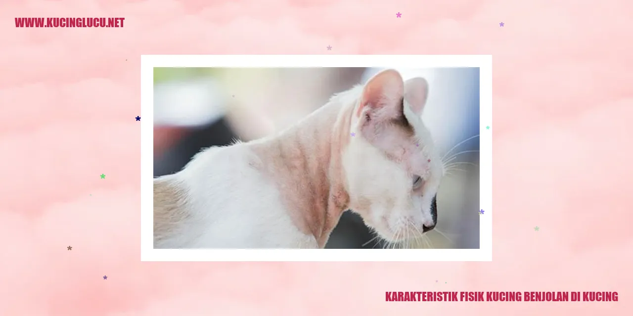 Karakteristik Fisik Kucing benjolan di kucing