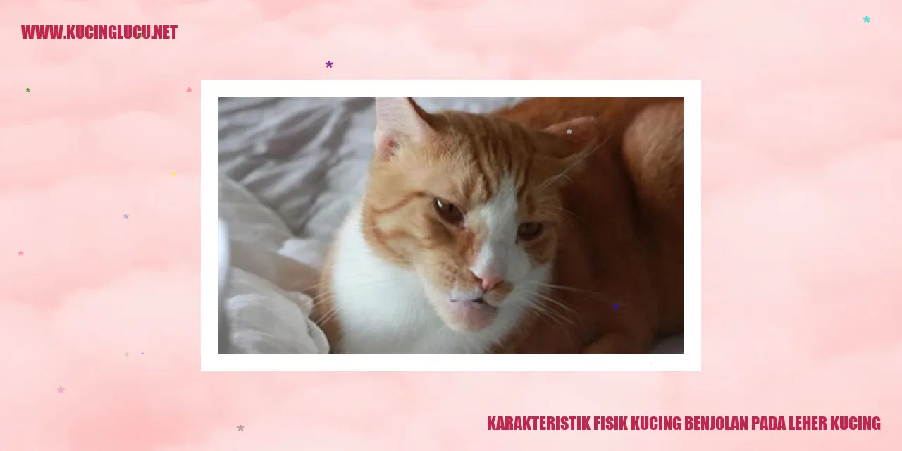 Kucing dengan Benjolan pada Leher
