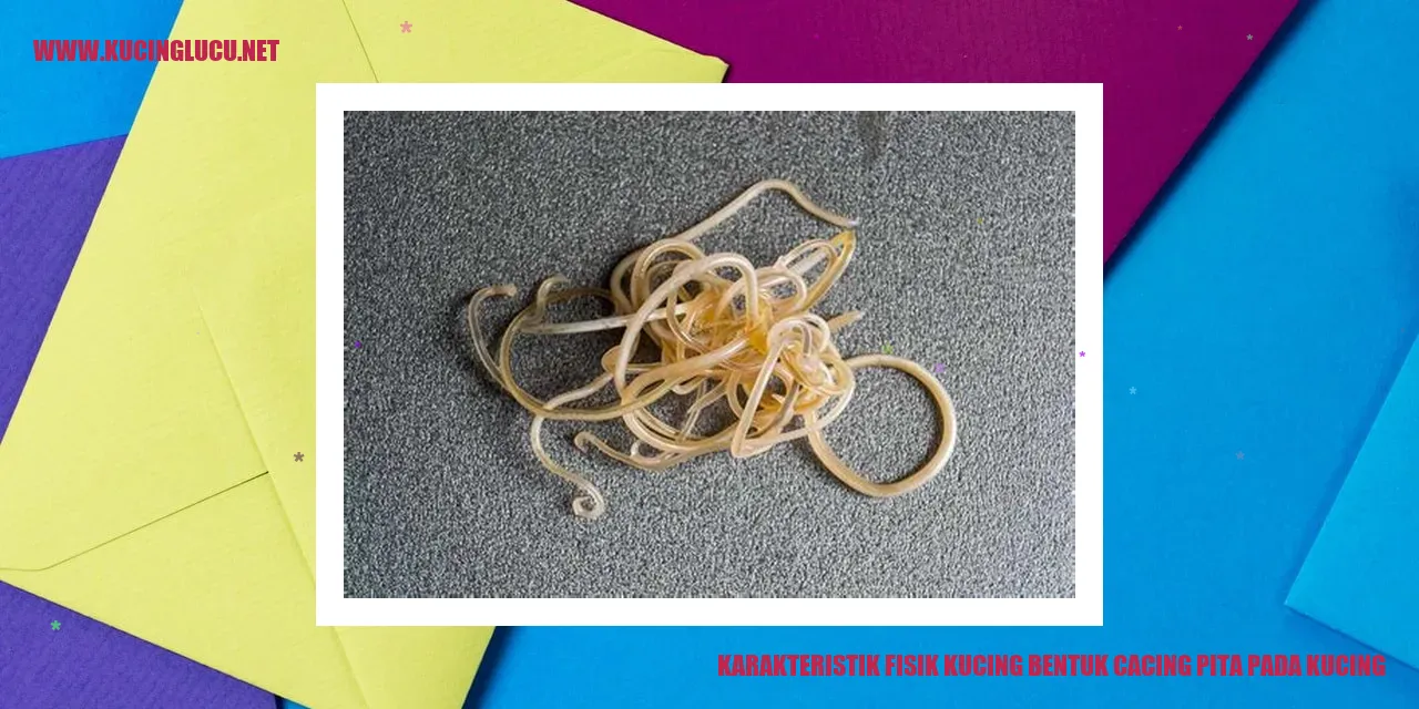 Karakteristik Fisik Kucing dengan Cacing Pita