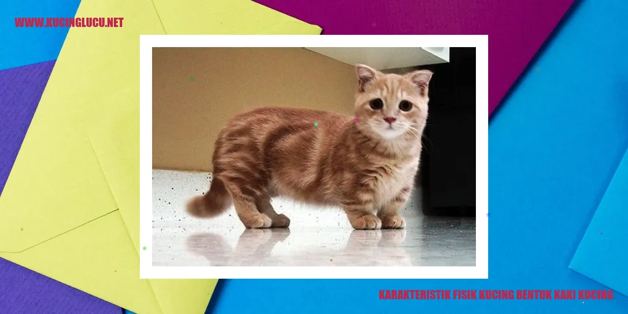 Gambar Kaki Kucing