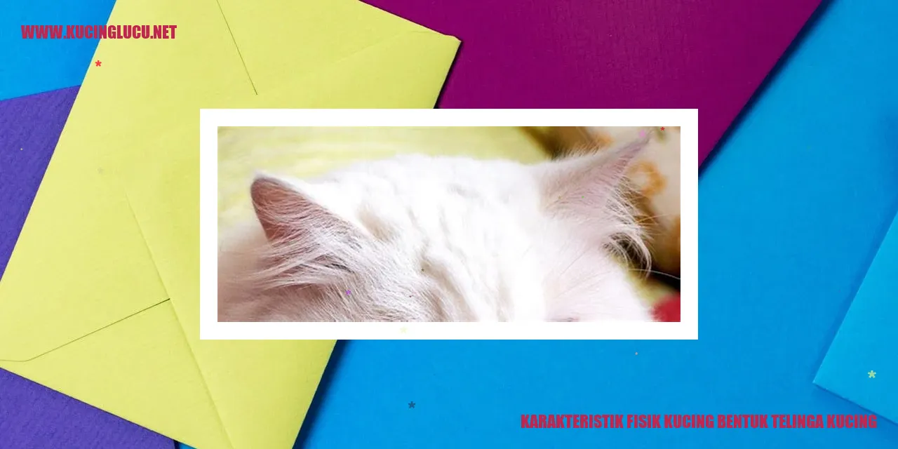 Bentuk Telinga Kucing