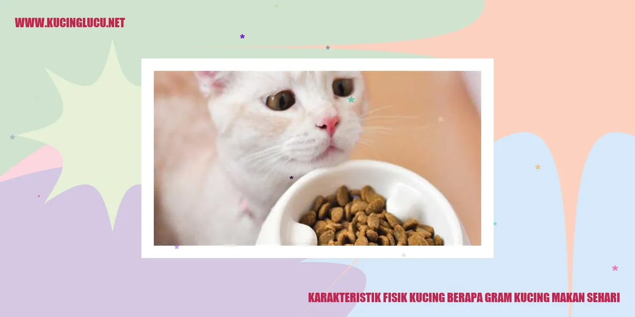 Karakteristik Fisik Kucing