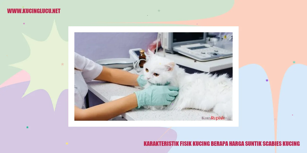 Karakteristik Fisik Kucing berapa harga suntik scabies kucing