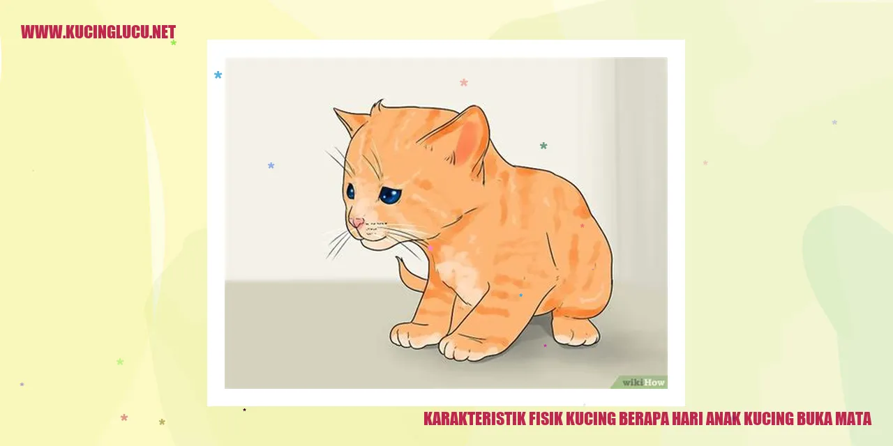 Gambar Kucing