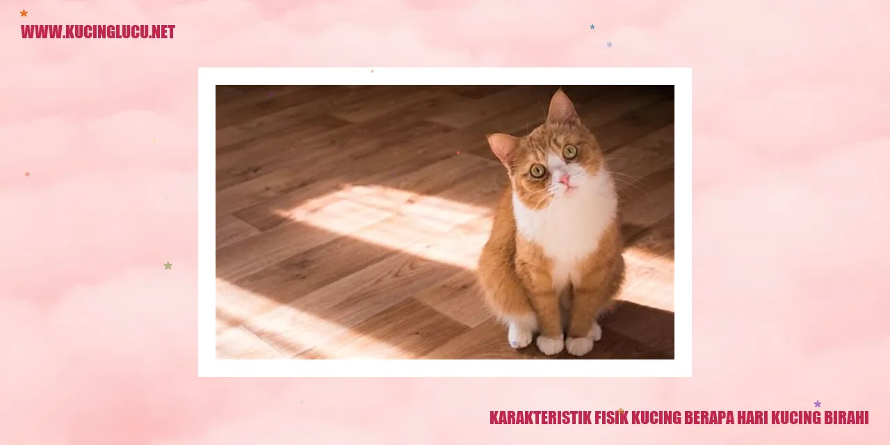 Karakteristik Fisik Kucing berapa hari kucing birahi
