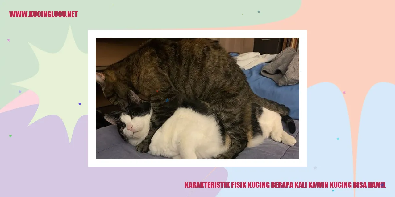 Karakteristik Fisik Kucing