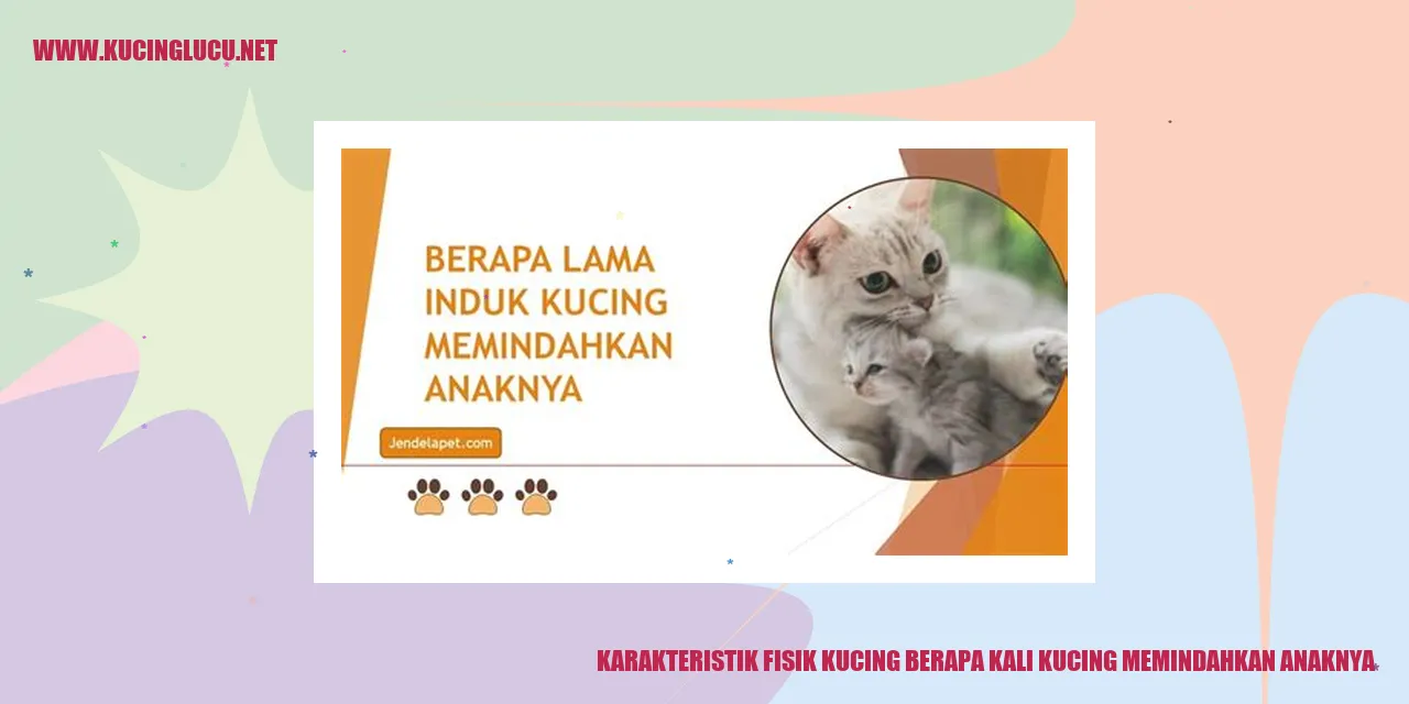 Karakteristik Fisik Kucing berapa kali kucing memindahkan anaknya