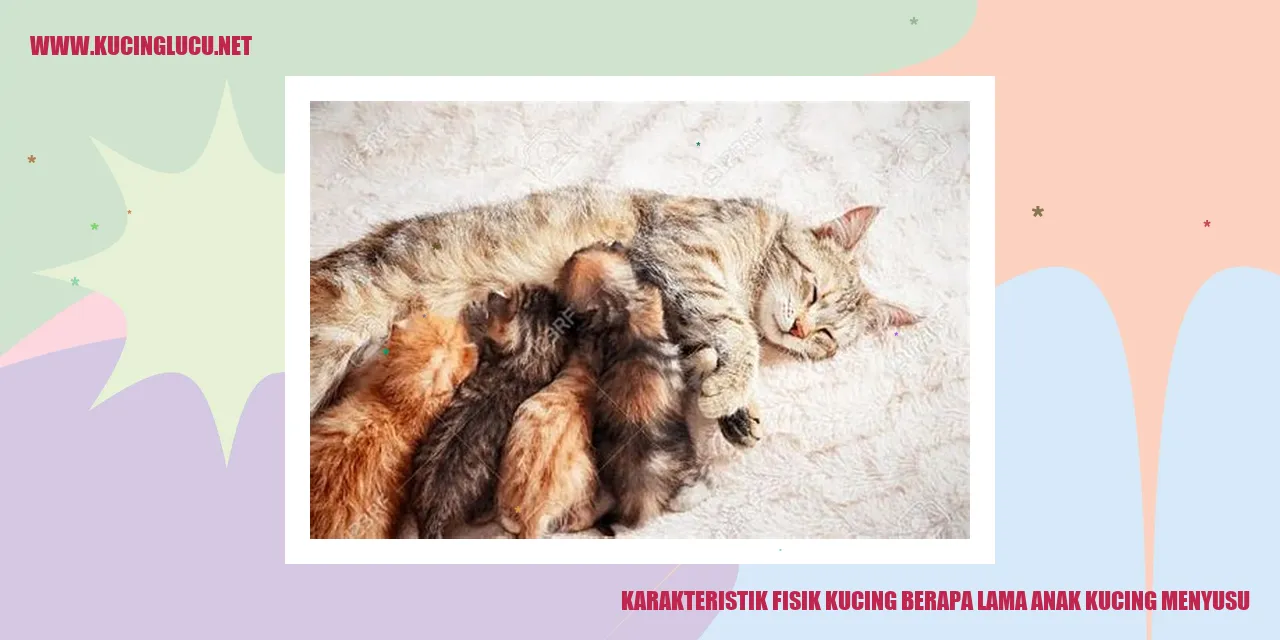Gambar Kucing