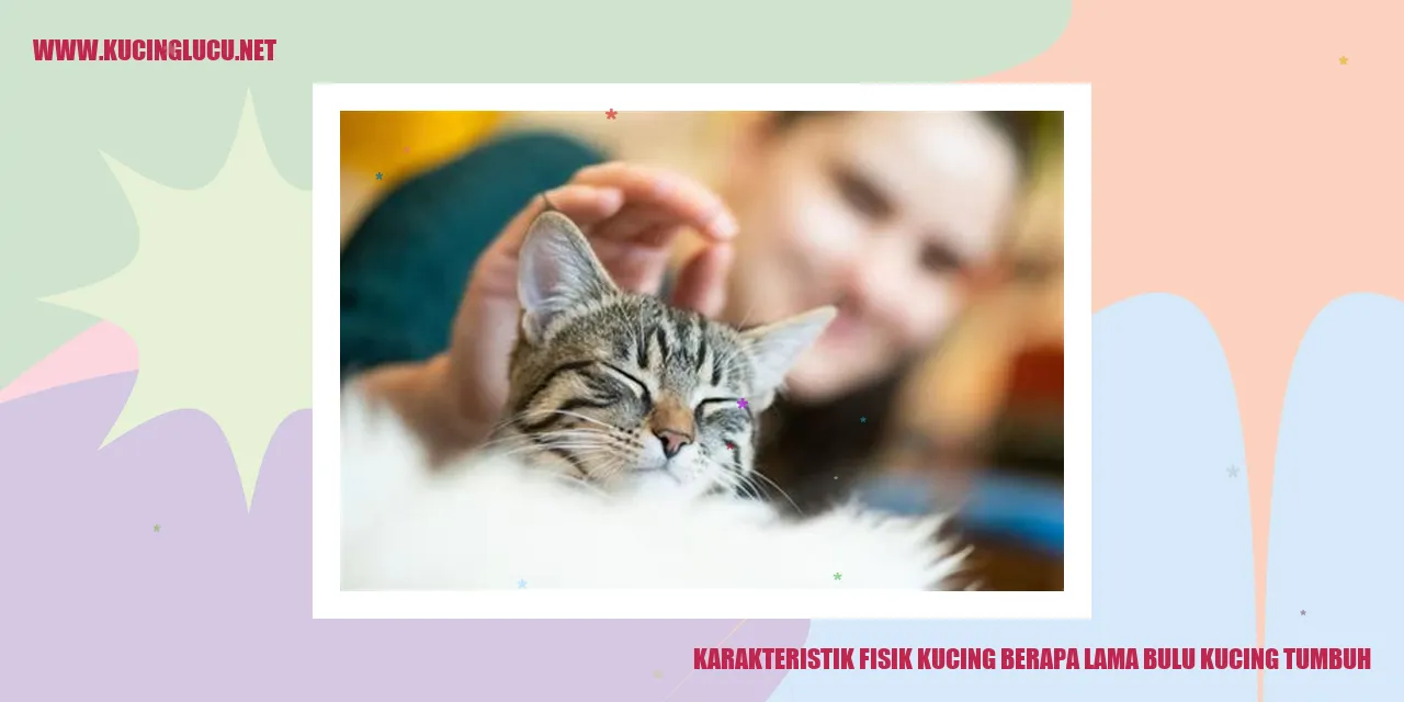 Karakteristik Fisik Kucing