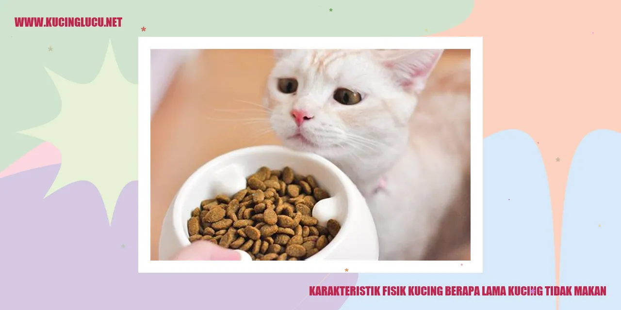 Karakteristik Fisik Kucing