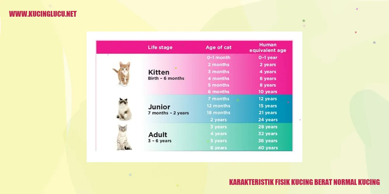 Gambar kucing yang menggemaskan