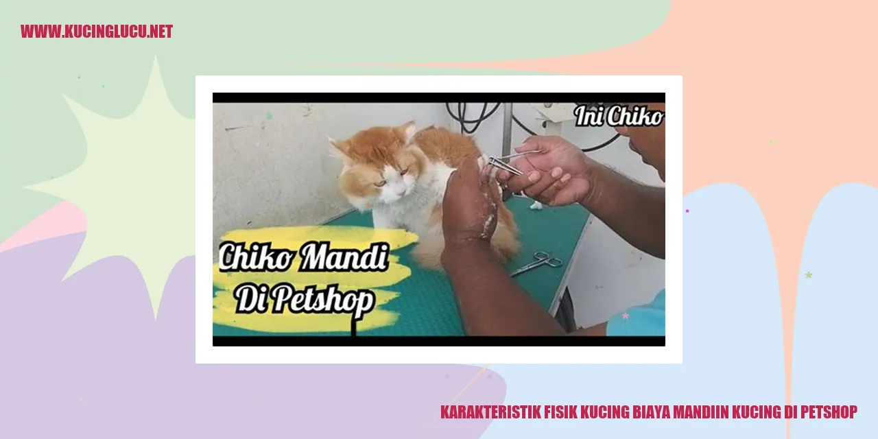 Kucing di petshop