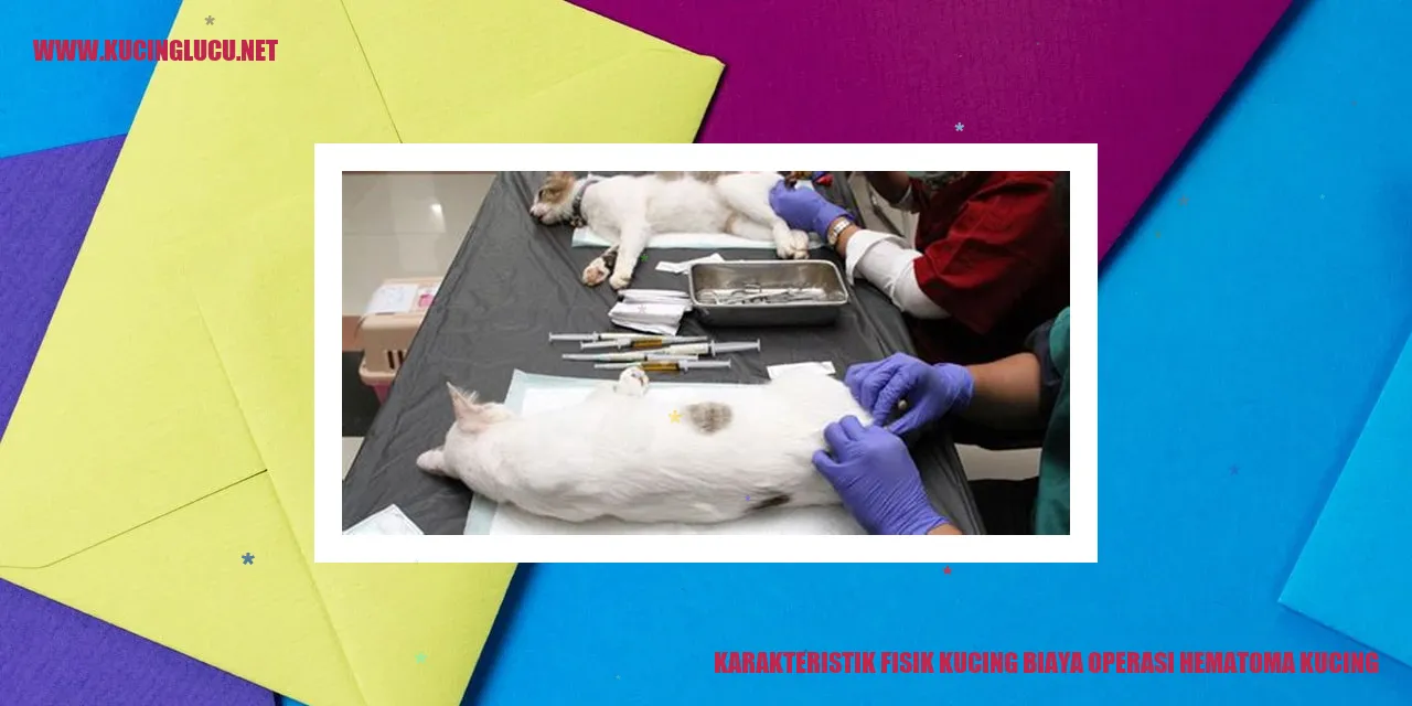 Karakteristik Fisik Kucing biaya operasi hematoma kucing